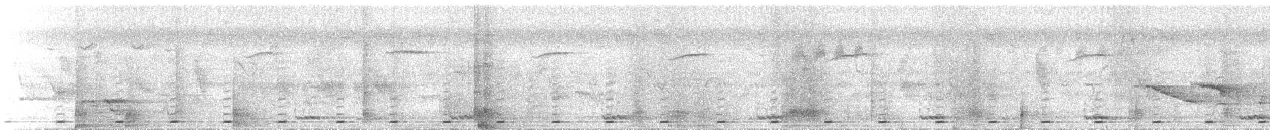 Malabar Barbet - ML612983262