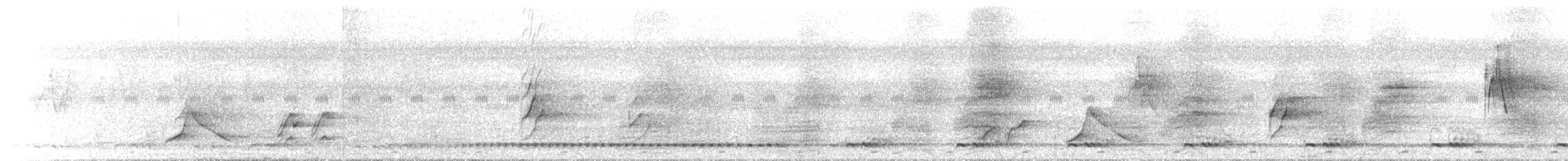 Malabar Parakeet - ML612983265