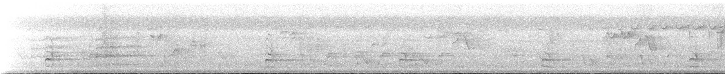 White-bellied Woodpecker - ML612983340