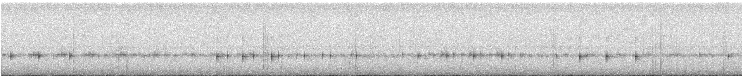 Сплюшка білогорла - ML612983524