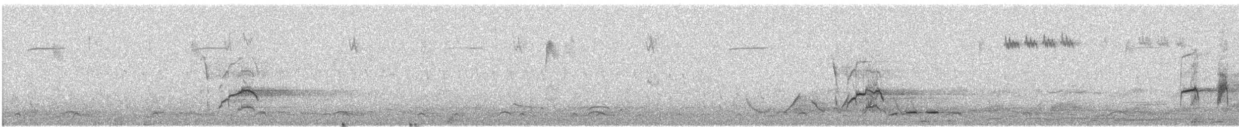 Желтоклювая лазоревая сорока - ML612987178