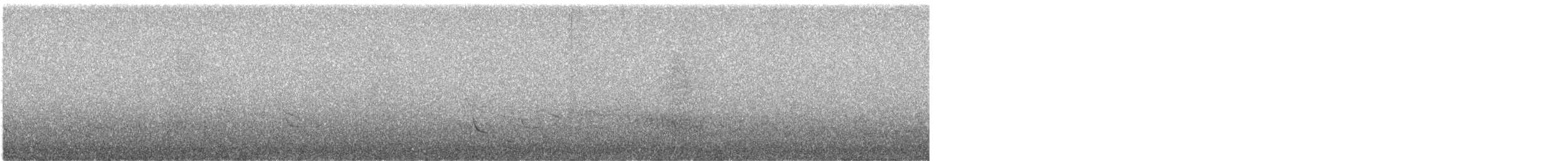 Крижень жовтодзьобий - ML612989105