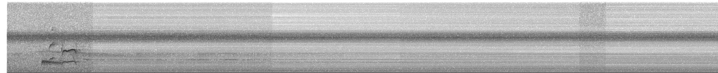 Gri Başlı Todi Sinekkapanı - ML612990822