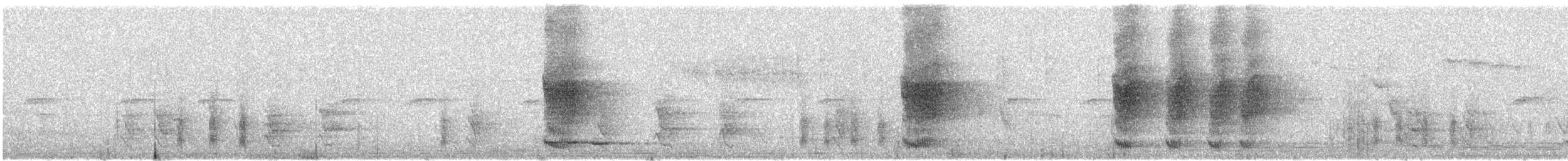 白斑紫嘯鶇 - ML612992834