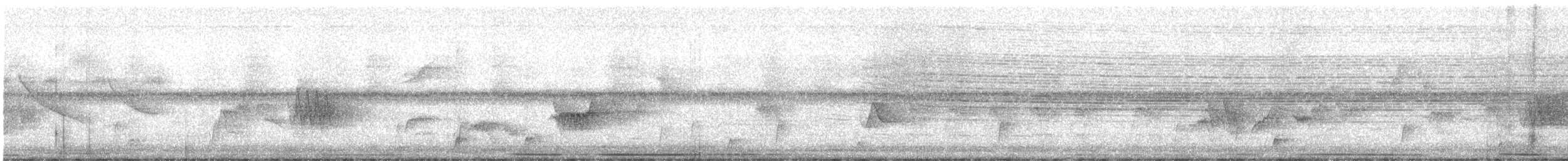 Дрізд-короткодзьоб Cвенсона - ML612993737