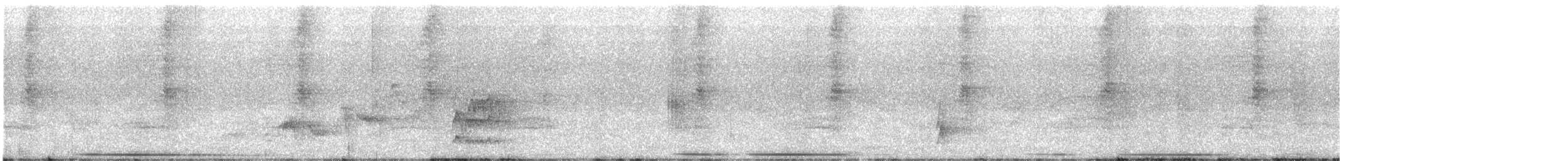 Дрізд-короткодзьоб Cвенсона - ML612993738