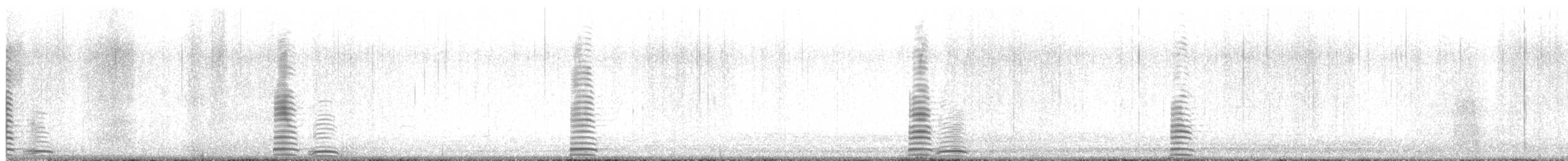 Cygne trompette - ML612994493