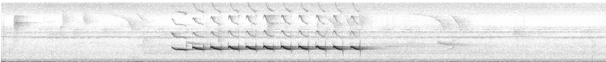 Schwarzgrau-Ameisenvogel - ML612998242