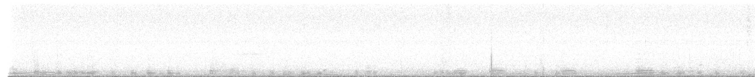 kajka mořská (ssp. dresseri) - ML612999712