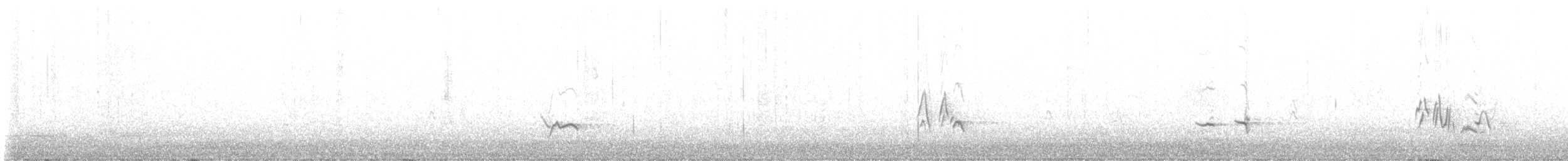gråsolitærtrost - ML613004961