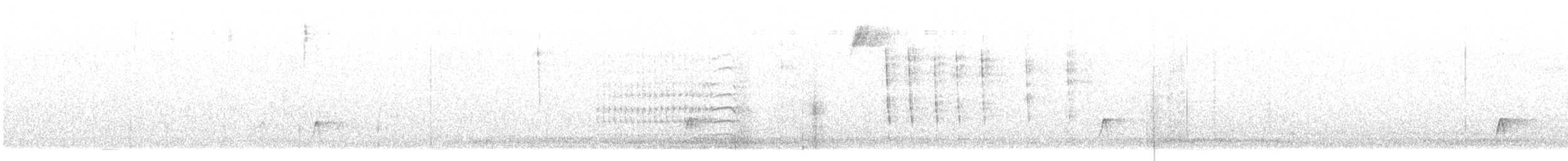 Brown-crested Flycatcher - ML613005274