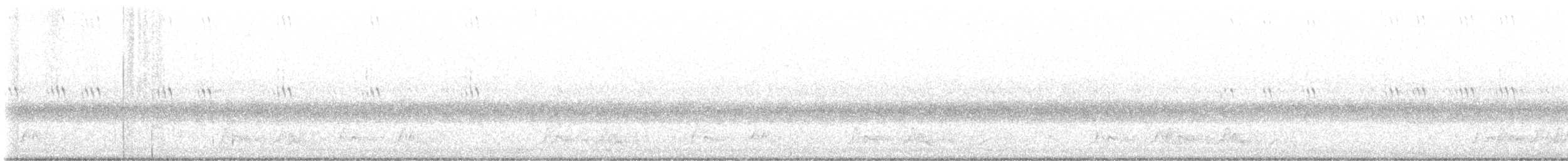 Carolinanachtschwalbe - ML613006270