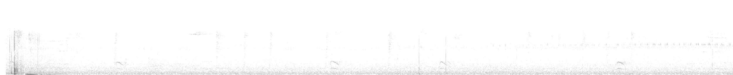 Olivgrau-Ameisenvogel - ML613006403