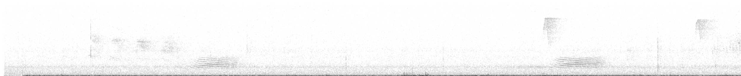 Long-tailed Manakin - ML613010966