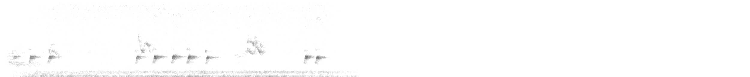 Шишкар ялиновий - ML613012789