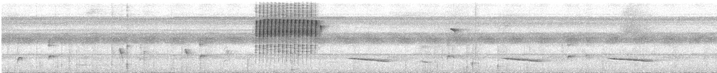 Амазонский алапи - ML613013223