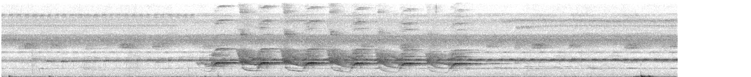 Trepatroncos de Stresemann - ML613013232