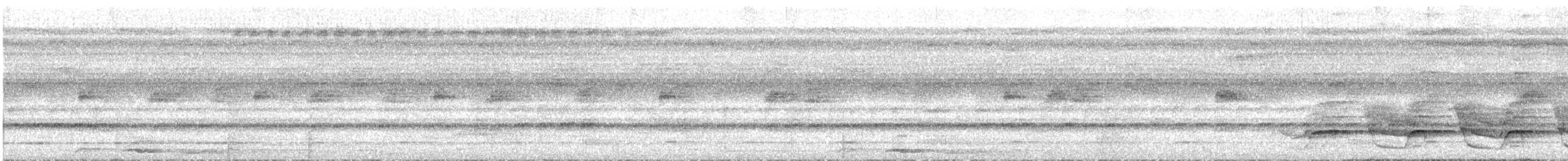 Grimpar de Stresemann - ML613013233