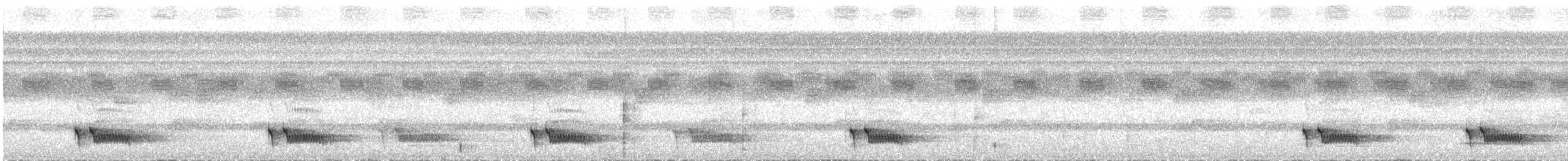 Синеспинный манакин - ML613013239