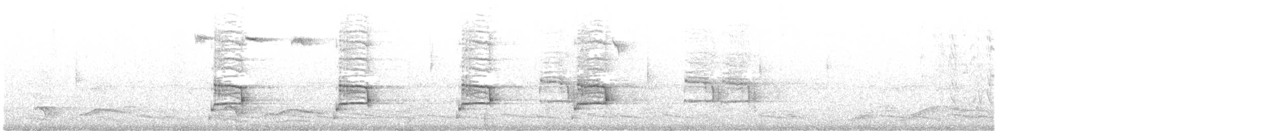 Grallina Australiana - ML613013460