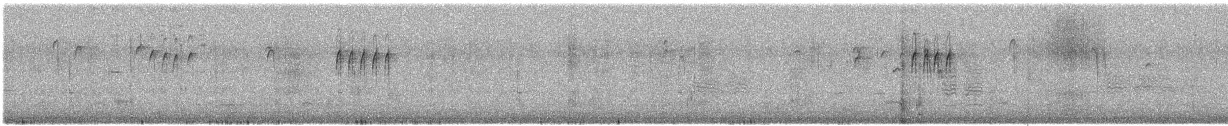 Волосатый дятел - ML613015124