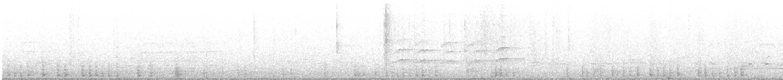 Сорочиця сіроспинна - ML613015204