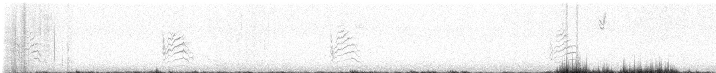Green-tailed Towhee - ML613017500