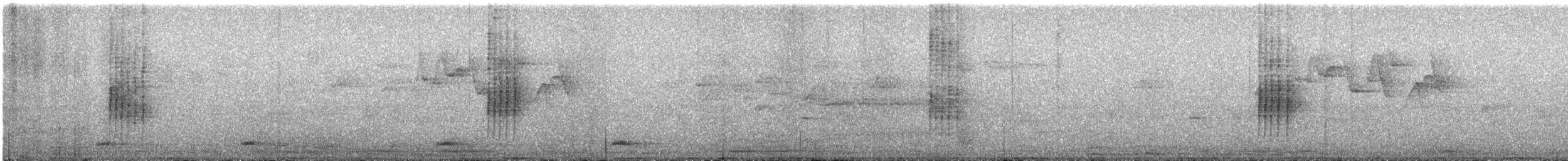 Gray-bellied Tesia - ML613017861
