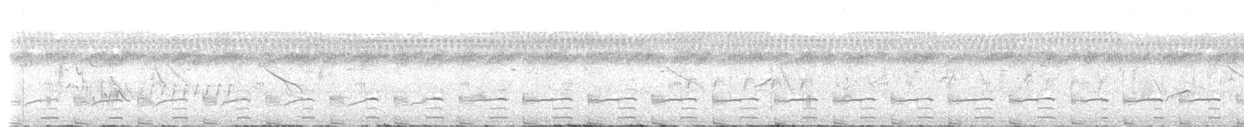 chřástalík kaštanovoprsý - ML613017989
