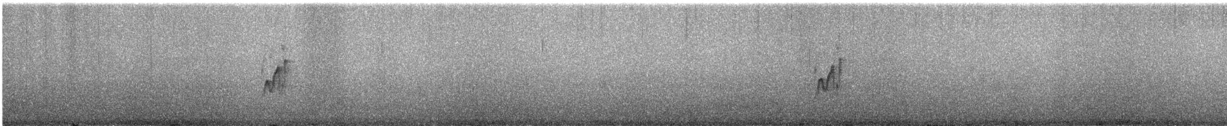 Синицевый гренадерчик - ML613018454