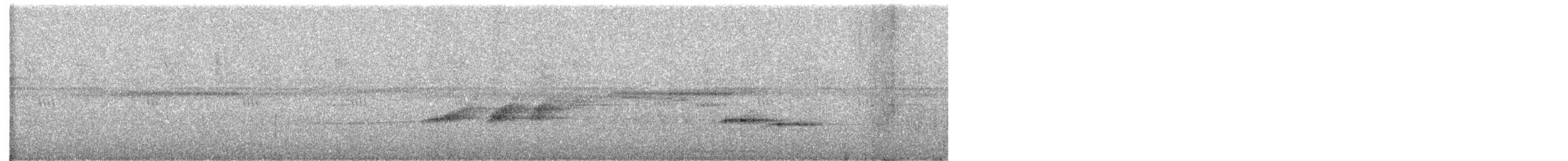 Weißkehl-Ameisenvogel - ML613020519