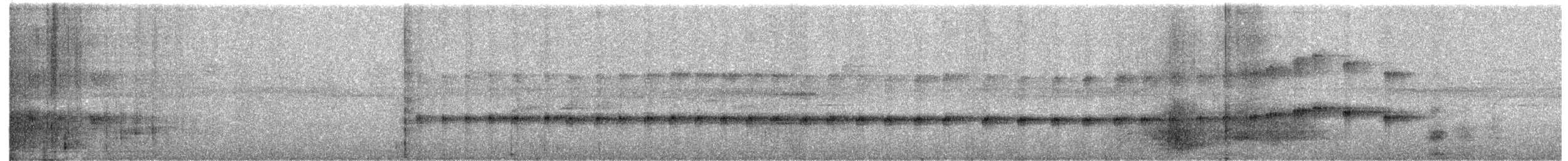 Microtyran chevelu - ML613020528
