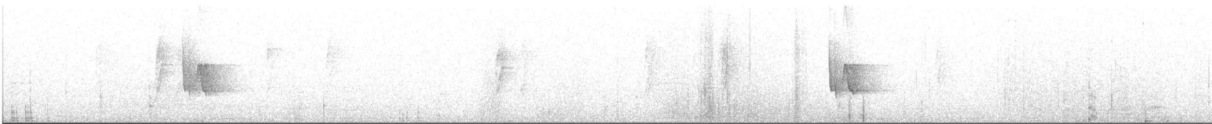 Підкоришник маніпурський - ML613020579
