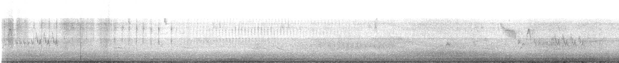 Wren-like Rushbird - ML613021016