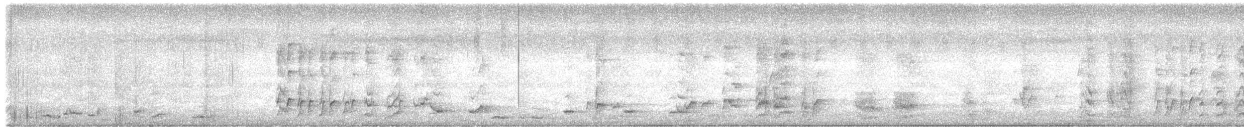 Cassican à collier - ML613021301