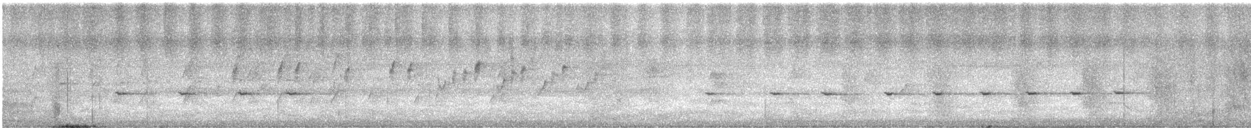 Белощёкая розелла - ML613021371