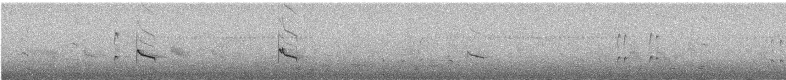 Cape White-eye - ML613022000
