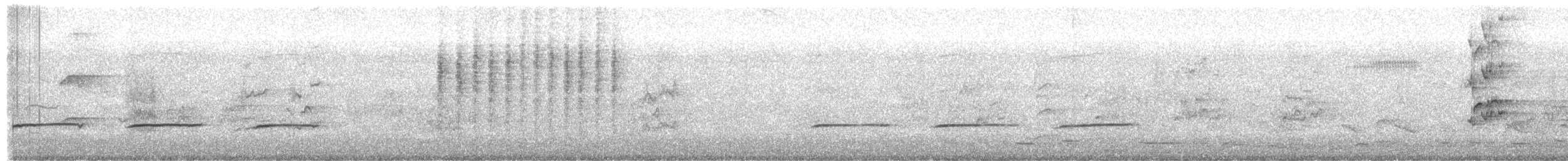 Карликовая котата - ML613022157