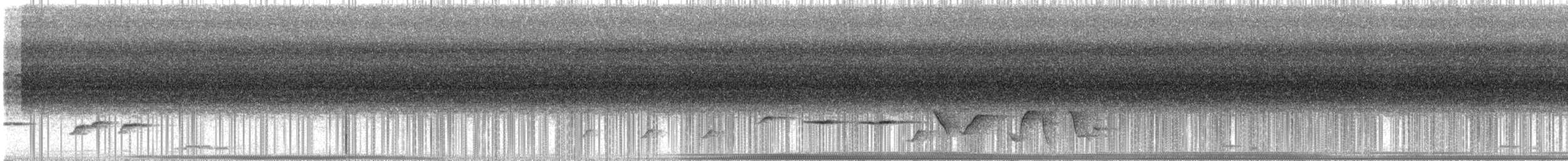 Gri Islıkçı (simplex/brunnescens) - ML613022161