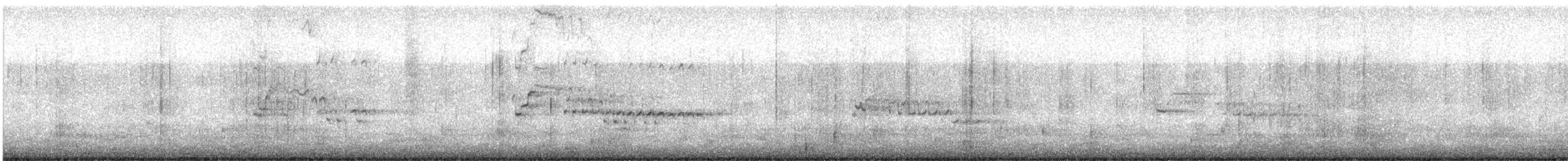 Goéland à ailes grises - ML613022427