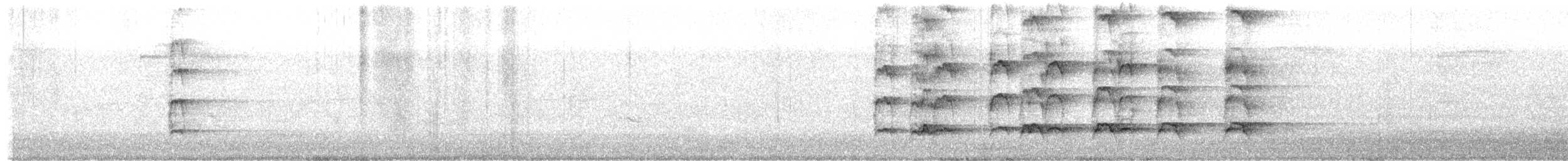 Тихоокеанский коэль (cyanocephalus/subcyanocephalus) - ML613022445