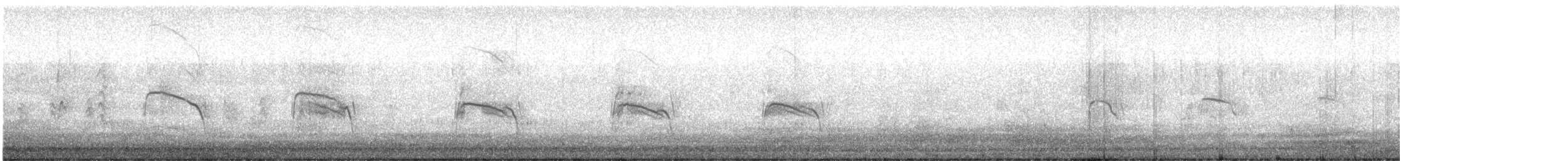 Northern Harrier - ML613022830