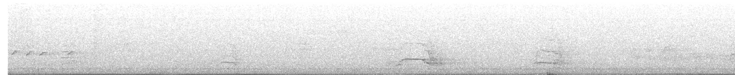 Желтохвостый траурный какаду - ML613022989
