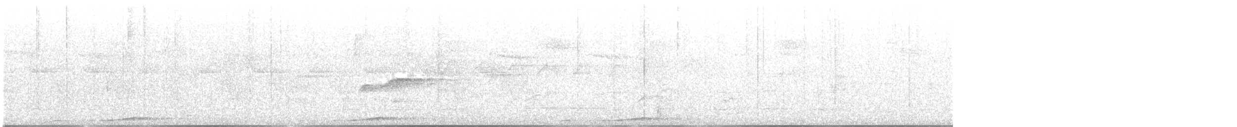 holub bažantí - ML613023040