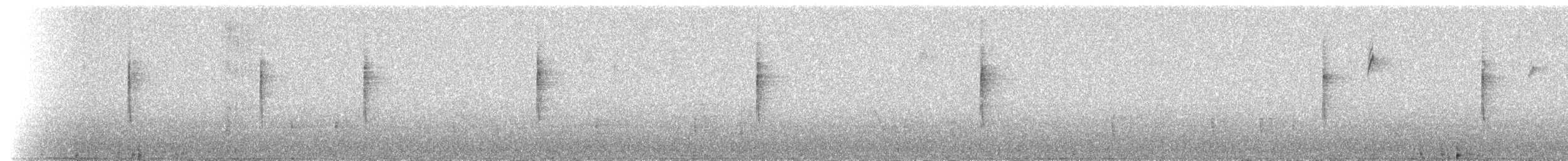 new world warbler sp. - ML613023115