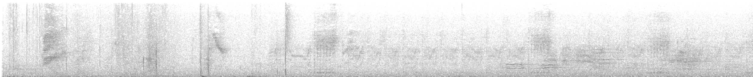 Атласный шалашник - ML613023121
