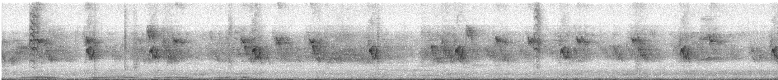 New Zealand Fantail - ML613023538
