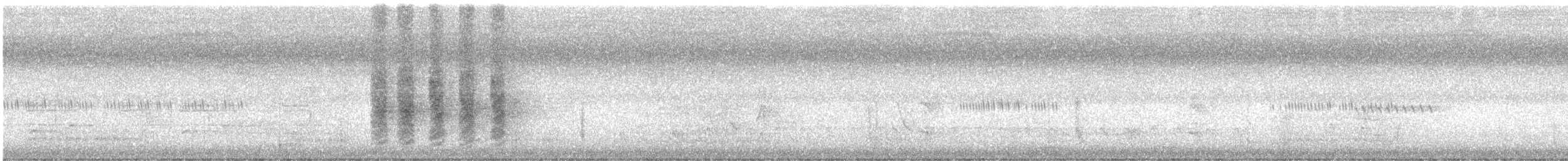 Spangled Drongo - ML613023543