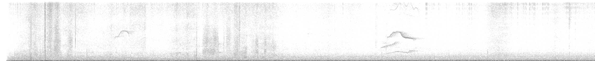 Красношейный толстонос - ML613024186