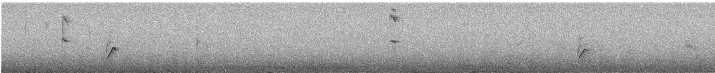 Zorzal Oliváceo - ML613024481